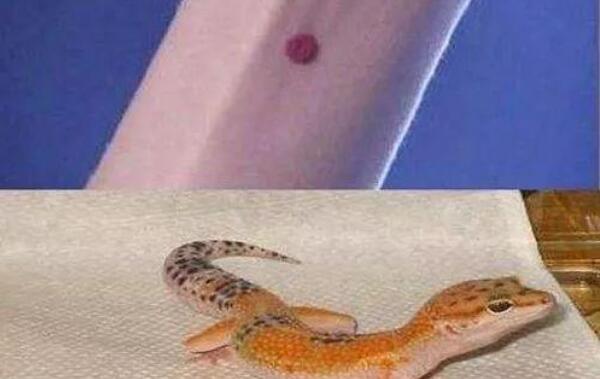 عɰпѧʵ Ϊʲôͬʧ