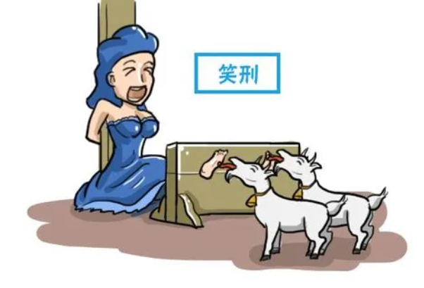 ȥָʲô ʲô̼жָ