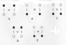 ����˹̹��������������Щ ��ҵ��˭����