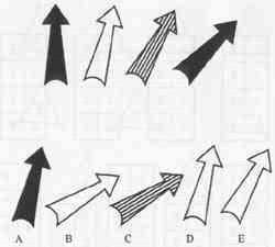 ����˹̹��������������Щ ��ҵ��˭����