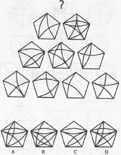 ����˹̹��������������Щ ��ҵ��˭����