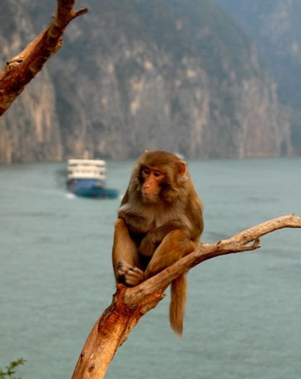 ��ϿԳ����֮������ô���� Գ��Ϊʲô����Ͽ����