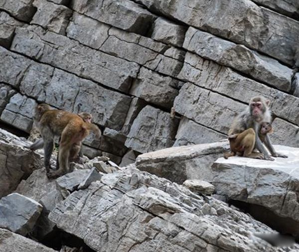 ��ϿԳ����֮������ô���� Գ��Ϊʲô����Ͽ����