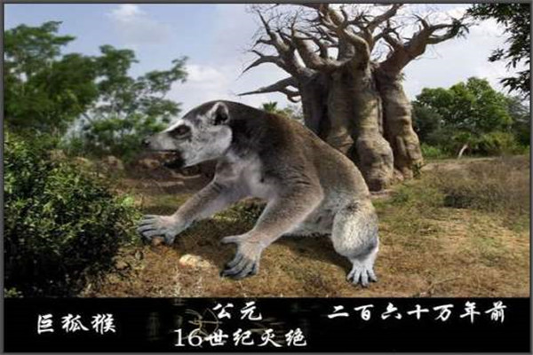 ޺ ʲôʱĳʲôͼƬ