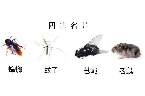 ĺָʲô ˵ĺֺ