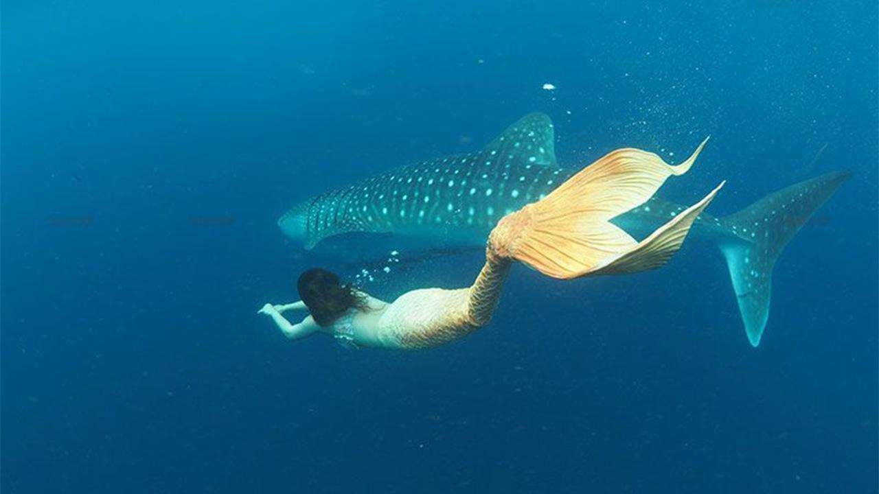 ûʵƬ ѧ֤ʵ㵽״治