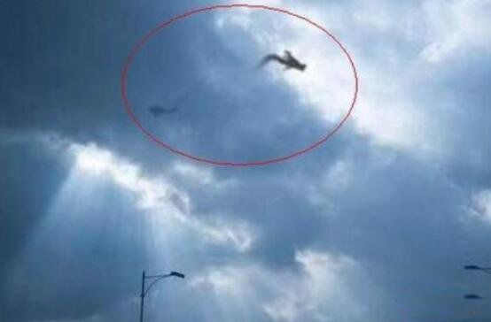 1995安徽巨蟒渡劫事件发生在哪个村子 95年安徽巨蟒渡劫事件全过程曝光