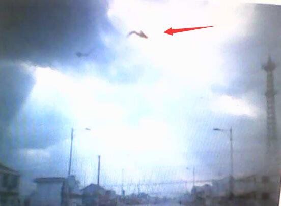 1995安徽巨蟒渡劫事件发生在哪个村子 95年安徽巨蟒渡劫事件全过程曝光