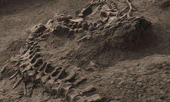 1995安徽巨蟒渡劫事件发生在哪个村子 95年安徽巨蟒渡劫事件全过程曝光