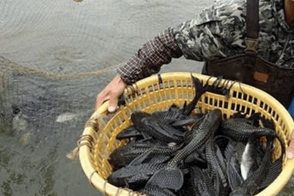 ���������Գ��� �ж����ܳԶ���