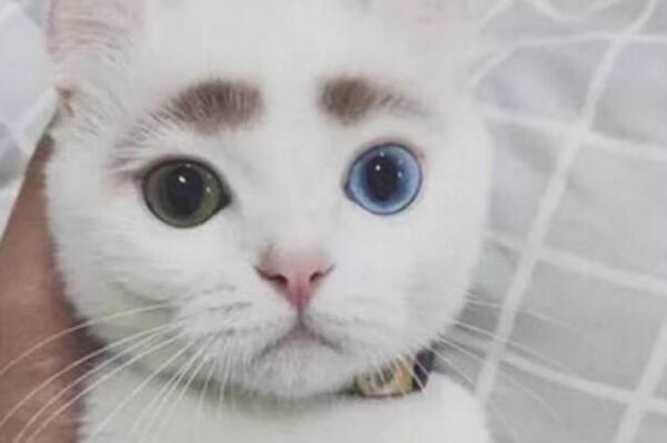 ʵд ۵˽ʵ