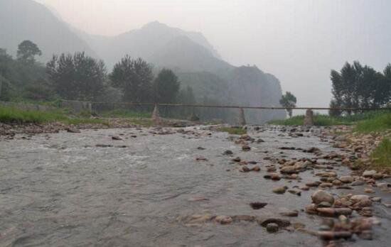 �ܲ�Ĺ�ҵ����� �ܲ�Ĺ����������α���