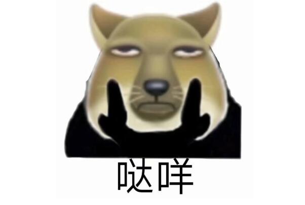 Ĵʲô˼ Ů˵ǻǻ