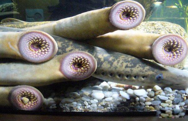 Ϊʲôô ʲôӵ