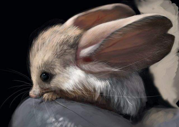 ͼƬ ʲôط