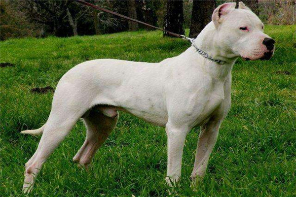 ȮЩ йʮȮͼƬ
