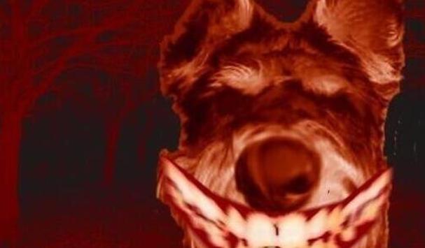 Цֲԭͼ ΢ЦSmile Dogֲԭͼ