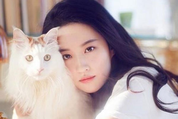 �����ȫ���պ���ʷ�ع� ԭ������Ů����ô�ྫ�ʵĹ�ȥ