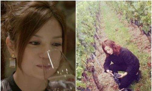 赵薇酒庄在哪里多少钱 赵薇酒庄晚宴照