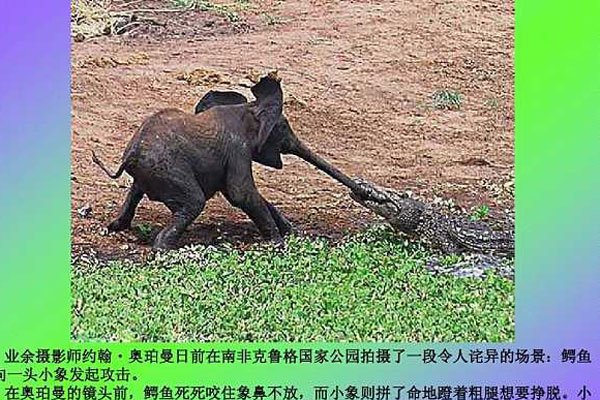 �����鶯�����羭��̨�ʴ������� ���鼾��˵�ĺ����Լ�