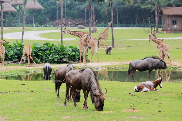 �����鶯�����羭��̨�ʴ������� ���鼾��˵�ĺ����Լ�