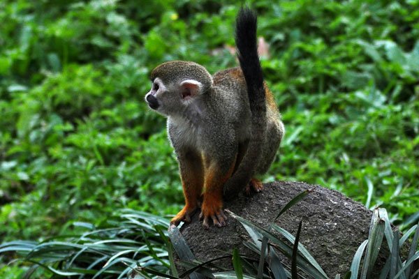 �����鶯�����羭��̨�ʴ������� ���鼾��˵�ĺ����Լ�