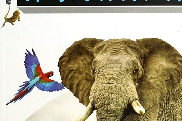 �����鶯�����羭��̨�ʴ������� ���鼾��˵�ĺ����Լ�