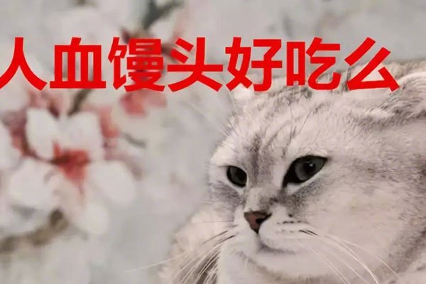 Ѫͷʲô˼ ǷʲôĴ