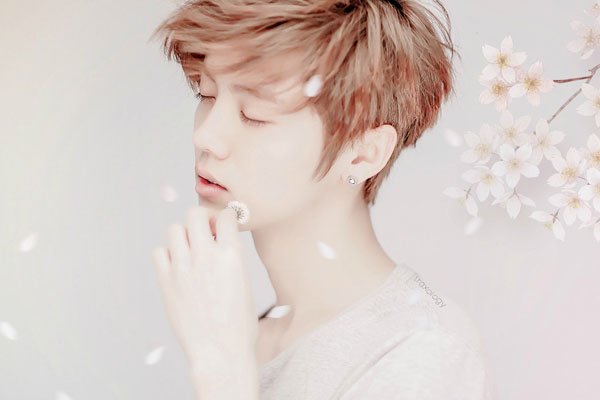 ¹������¹����Ƭ ������ô��Ҫ������Ȧ