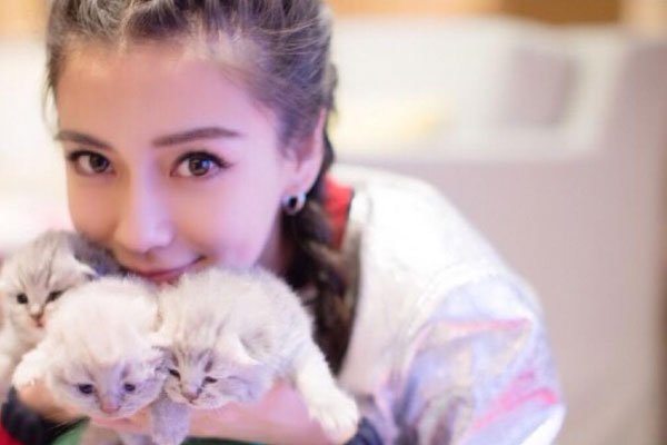angelababy߹ ԭô