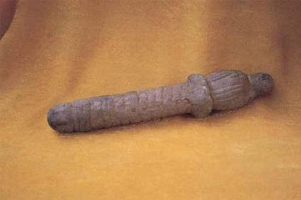 ŴŮйþ ձڵĶ