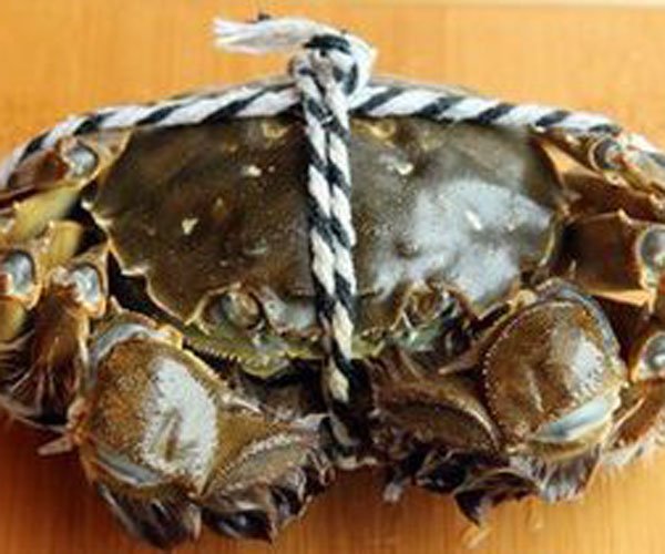 ���ɴ��Դ�բз �����������������Ҳ��