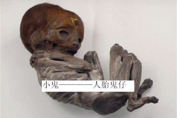Сʲô˼ СΪ̩ɱ