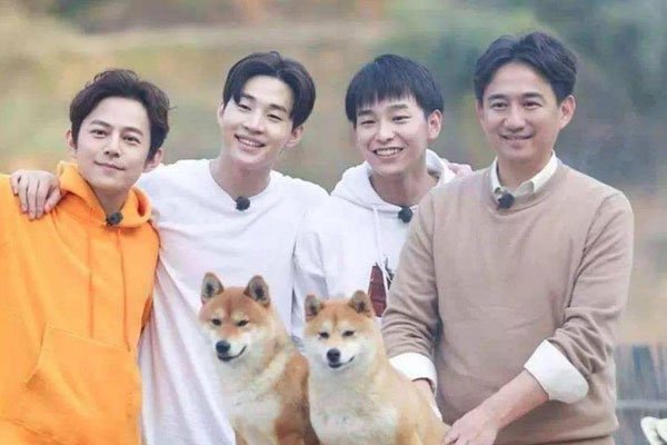 ����һ������ͼƬ Ϊɶ����鲻�����ѻ�