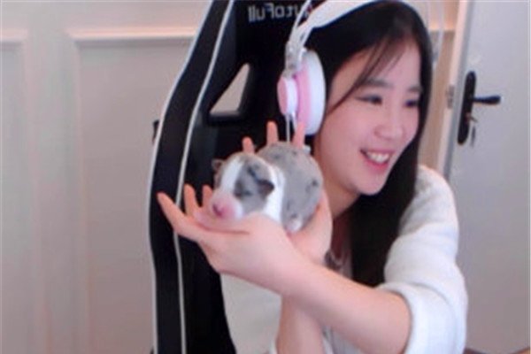 妃凌雪和菊花什么关系是情侣嘛 因工作态度不合间隙很深