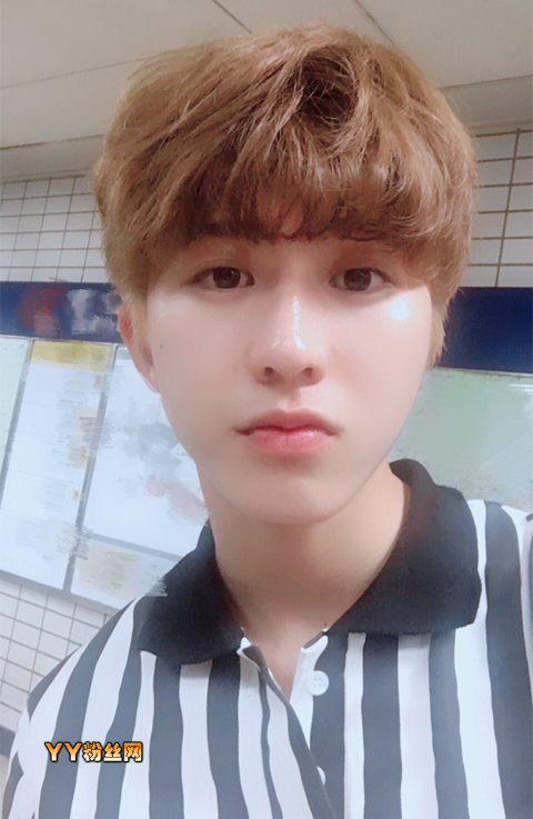 żϰ˳swin Ա쾲Ƭ