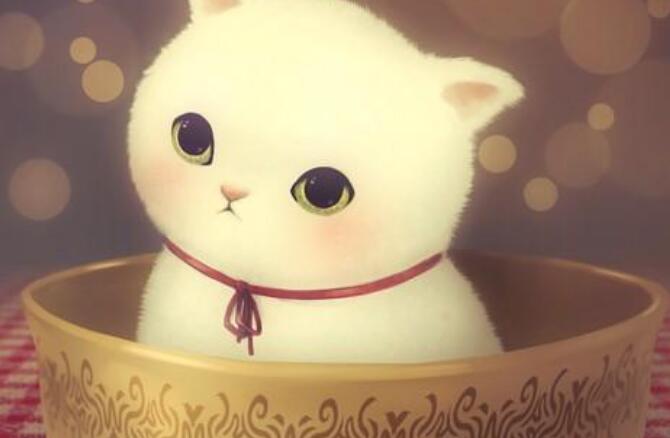 ڿŮ ƯŮԴΣ
