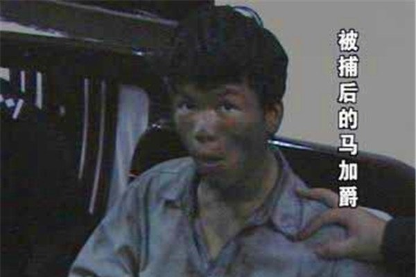 ���Ӿ��¼���ʵ�����򼰾��� ������ʵ״��������ϸ����