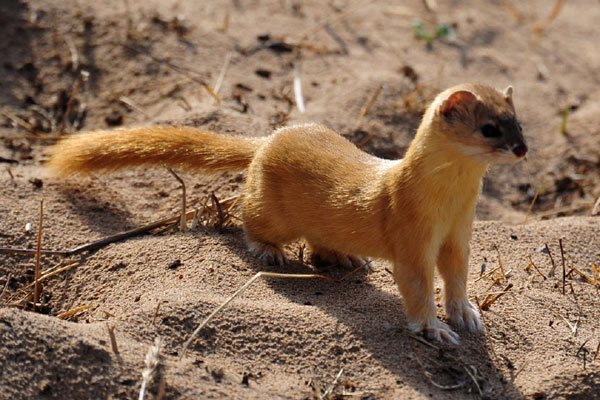 �����ǽ����Ǽ����� �ܲ��ܰ������߶Է�ˮ��ʲôӰ��