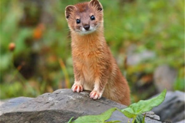 �����ǽ����Ǽ����� �ܲ��ܰ������߶Է�ˮ��ʲôӰ��