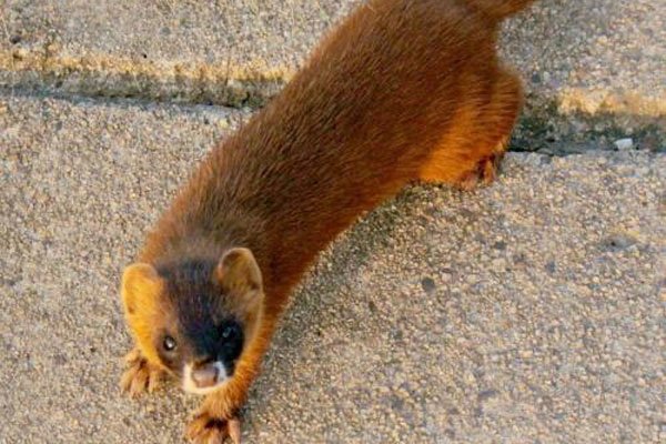 �����ǽ����Ǽ����� �ܲ��ܰ������߶Է�ˮ��ʲôӰ��