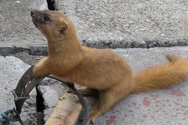 �����ǽ����Ǽ����� �ܲ��ܰ������߶Է�ˮ��ʲôӰ��