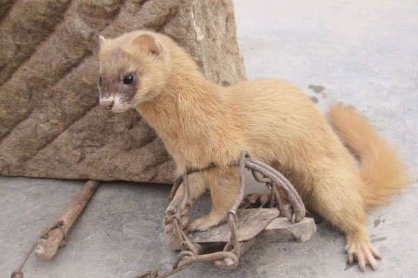 �����ǽ����Ǽ����� �ܲ��ܰ������߶Է�ˮ��ʲôӰ��