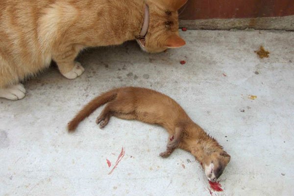 �����ǽ����Ǽ����� �ܲ��ܰ������߶Է�ˮ��ʲôӰ��