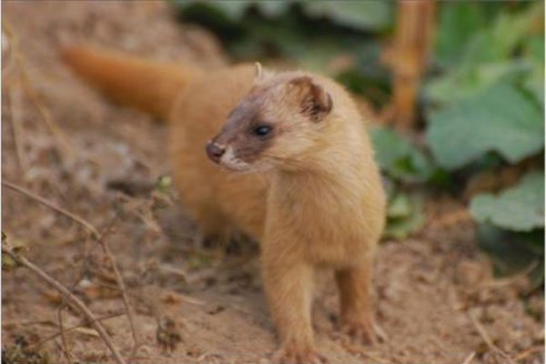 �����ǽ����Ǽ����� �ܲ��ܰ������߶Է�ˮ��ʲôӰ��