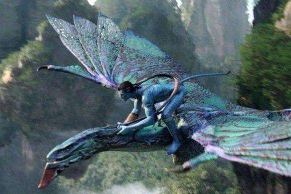 ������2ʲôʱ����ӳ �ƻó��������Ȳ�����