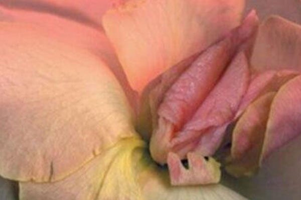 Ůʮ ΢֮Լȥ