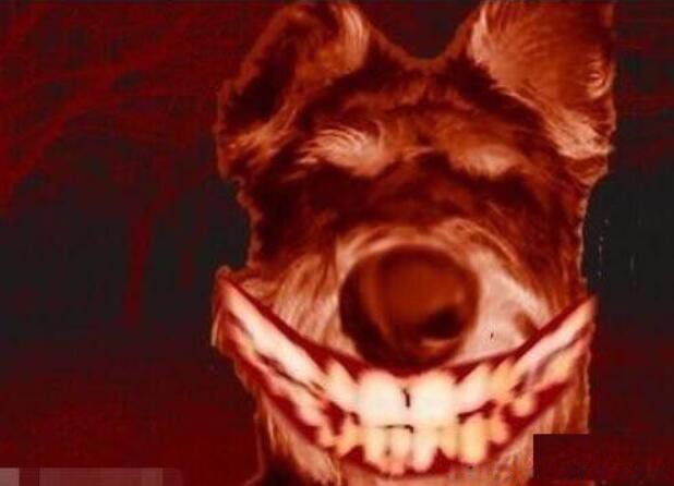 1990ʿֲƬ ΢ЦԭͼЦа˴ֲ