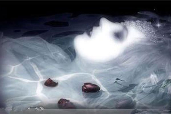 ����ʮ������������ʵ���� ��Թ���ʾ���������ﶼ����