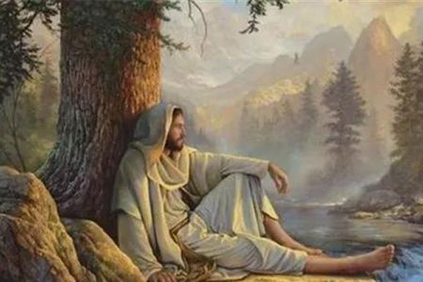 ����ʮ������������ʵ���� ��Թ���ʾ���������ﶼ����